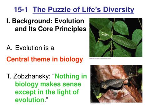 Ppt Biology Chapter 15 Powerpoint Presentation Free Download Id 3274957