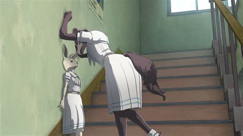 Beastars S1 E12 Haru Juno 1 By Giuseppedirosso On Deviantart