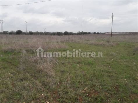 Terreno Agricolo Strada Provinciale Acquaviva Delle Fonti Casamassima