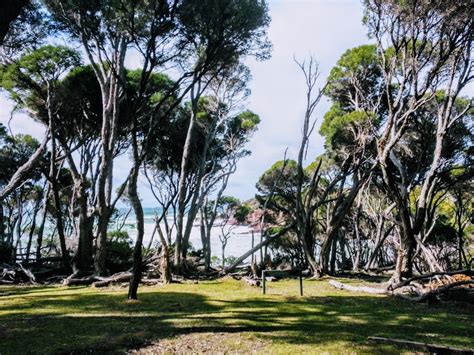 Saltwater Creek Campground Light To Light Walk Green Cape Nsw 2551