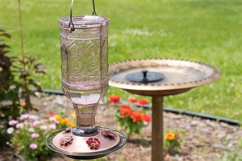 How To Make A Hummingbird Garden