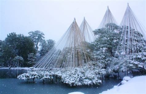 冬の金沢へ行こう！雪吊りに海鮮グルメまで楽しめる、おすすめコースはコレ