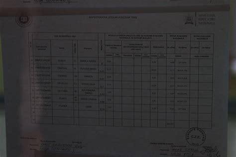 S Au Afisat Rezultatele La Evaluarea Nationala In Timisoara Vezi