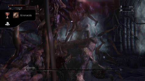 Bloodborne El Renacido Youtube