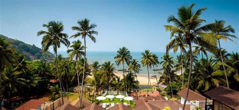 6 Best Beach Resorts Near Anjuna, India - Updated 2024 | Trip101