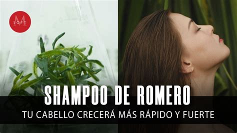 Shampoo De Romero Para Que Tu Cabello Crezca M S R Pido Y Fuerte Youtube