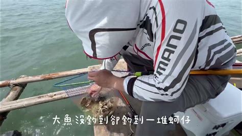 台西五條港上蚵棚釣魚釣到的卻都是蚵仔？ Youtube