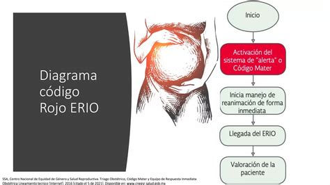 Equipo De Respuesta Inmediata Obstetrica Erio Ppt