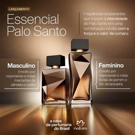 Dicas de Consultoria Essencial Palo Santo Conheça o poder de