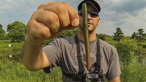 MYSTERY POND BASS FISHING TIPS TECHNIQUES FLUKE SENKO Bass