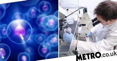 Scientists Make Cancer Breakthrough With Stem Cell Discovery Metro News