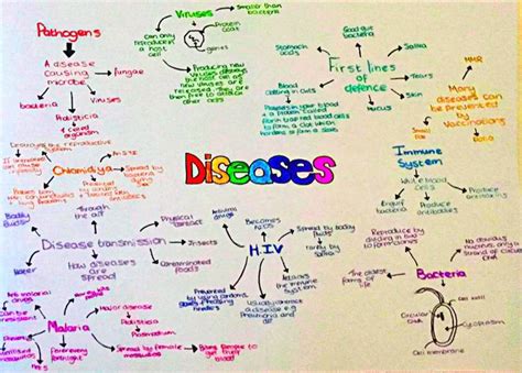 Diseases Gcse Biology Wjec Lilysrevisionnotes Gcse Revision