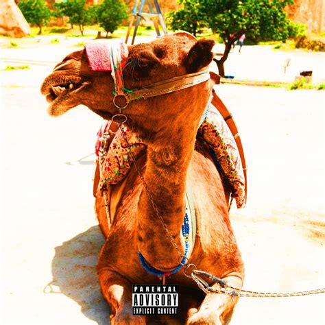 Ugly Ass Nigga