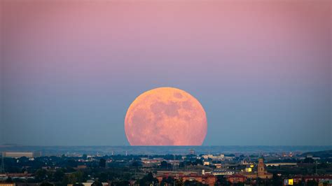 Supermond über Deutschland Diese Woche zeigt sich der größte Vollmond