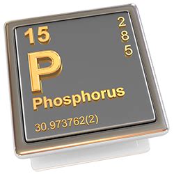 The importance of Phosphorus for plants - דשן-גת