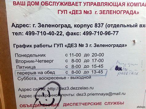 6- ти часовой рабочий обед. | Пикабу