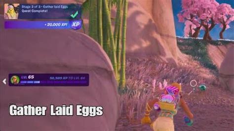 Gather Laid Eggs Stages 1 To 3 Fortnite Spring Break Quest