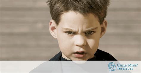 What Are Some of the Causes of Aggression in Children?