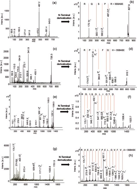 In Tissue Maldi Msms Spectra Recorded After Global Trypsin Digestion