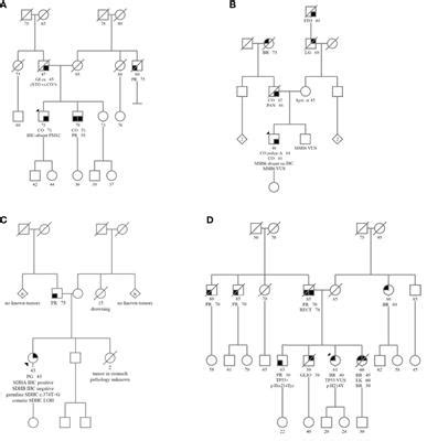 Frontiers An Integrated Somatic And Germline Approach To Aid