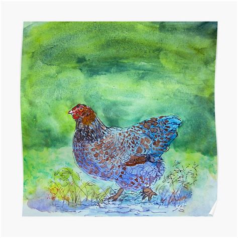 Blue Laced Red Wyandotte Watercolor Poster By Turnipwilson Redbubble