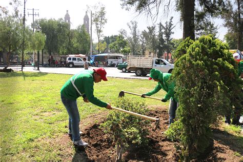 Reas Verdes Y Su Cuidado Parques Alegres I A P