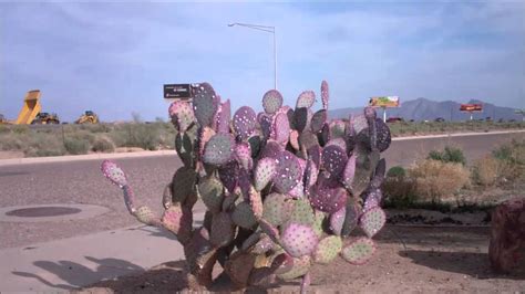 Ta Truck Stop In Eloy Arizona Youtube