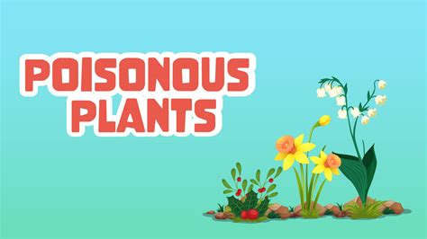 Poisonous Plants LearningMole