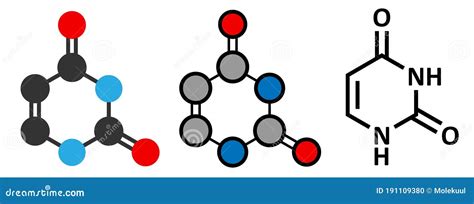 Uracil U Nucleobase Molecule Present In Ribonucleic Acid Rna Stock Vector Illustration Of