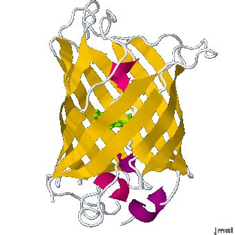 Main Page Proteopedia Life In 3D