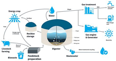 The Essential Role Of Water For Renewable Natural Gas Advisian