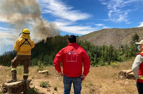 Más De Mil Hectáreas De Agricultores Fueron Afectadas Por Los Incendios