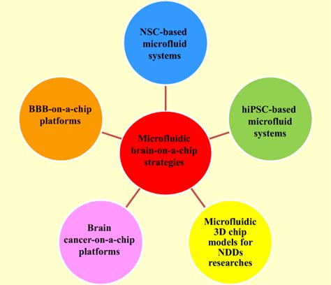 Schematic Illustrations Of SCs In A Brain On A Chip Technology For NDDs