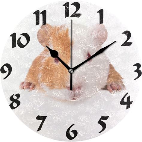 Gzhjmy Cute Guinea Wall Clocksilent Non Ticking 10 Inch Battery