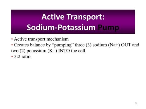 Biol Anatomy And Physiology 1 Chapter 3 Cells Ppt Download