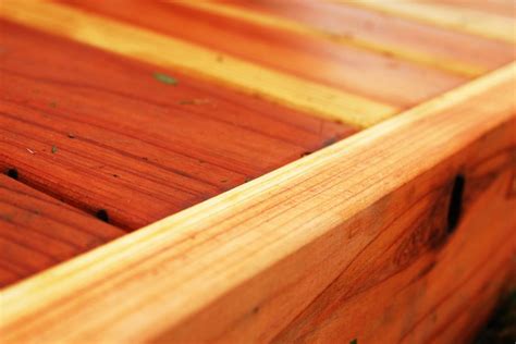 How To Do A Complete Deck Restore To Revitalize Your Deck