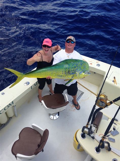 Mahi Mahi Dolphin Dorado Sportfishing