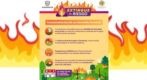 Apoyó Protección Civil A Los Combatientes De Incendios En La Sierra