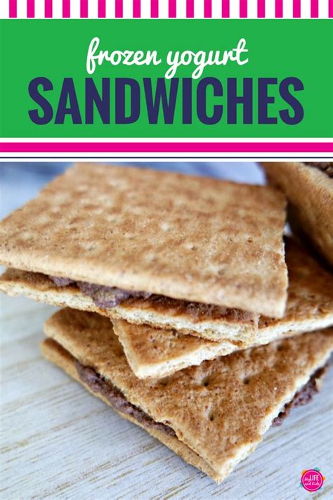 Easy And Healthy Frozen Yogurt Sandwich Recipe Theyre Not Just For