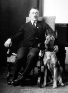 I CANI DI HITLER Museo Alessandro Roccavilla