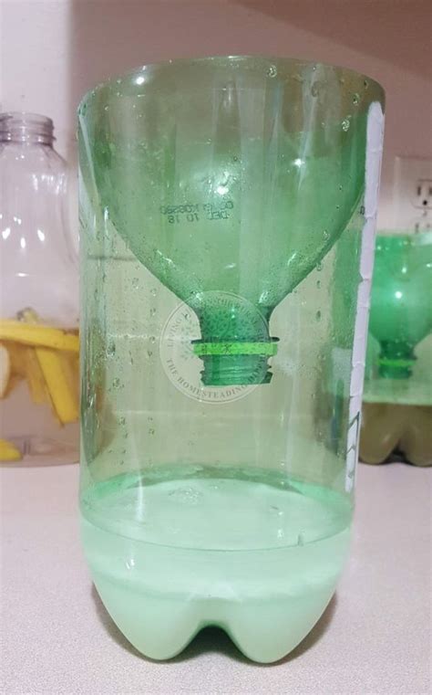 Homemade Mosquito Trap Without Yeast