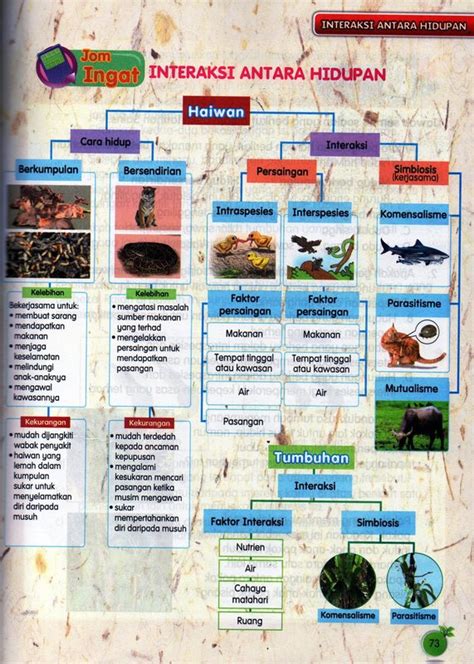 Tahun Sains Kuiz Interaksi Antara Haiwan Sumber Pengajaran Hot Sex