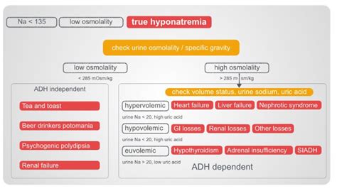 Normal Serum Osmolality