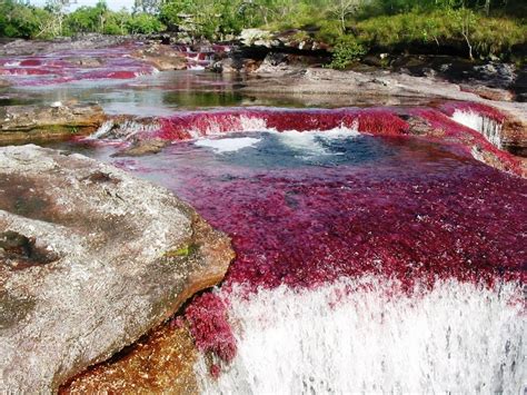 mapa caño cristales Mind Map