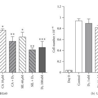 Effects Of Carnosic Acid Silibinin And 1 25D Alone And In