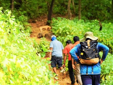 Tamil Nadu Forest Department Launches The Online Trekking Trails Atlas