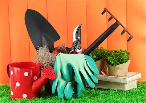 7 Essential Gardening Tools For Beginners Better Gardener S Guide