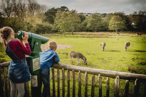 13 Astounding Facts About Newquay Zoo - Facts.net