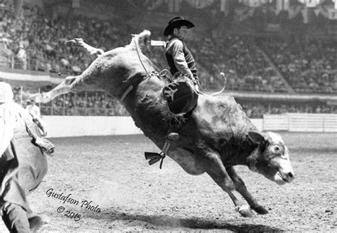 Randy Magers Texas Rodeo Cowboy Hall Of Fame