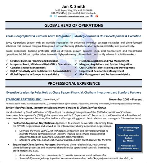 24 Best Sample Executive Resume Templates Wisestep